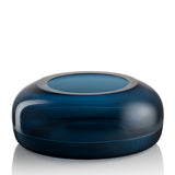 Traccia Vaso Basso